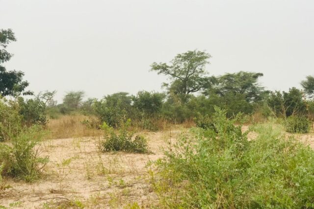 Terrain 1,87 ha à vendre – Méouane, Thiès
