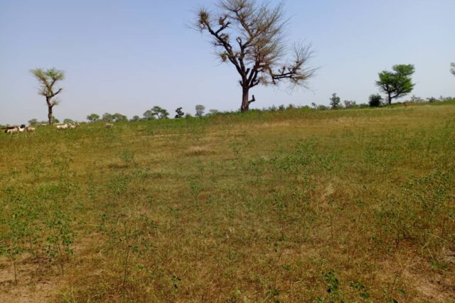 Terrain de 2,07 hectares vers Khombole