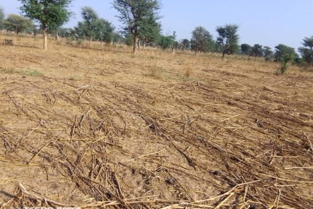 Terrain agricole de 1,50 ha à vendre à Notto Diobass – Sénégal