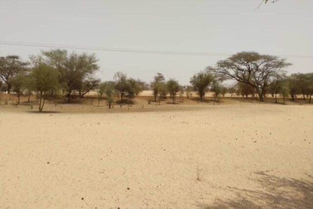 Terrain de 1,81 hectare vers Baba Garage