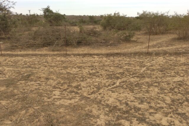 Terrain agricole 10 ha à vendre – Darou Khoudoss