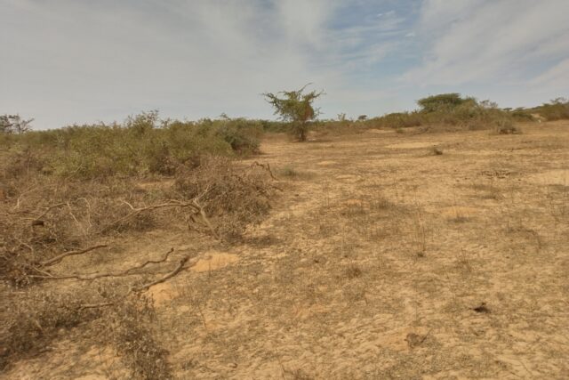 Terrain agricole 10 ha à vendre – Darou Khoudoss