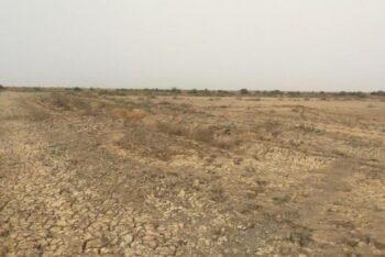 Terrain de 10 hectares vers Diama