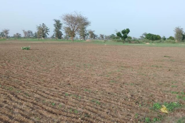 Terrain de 1,71 hectare vers Sandiara