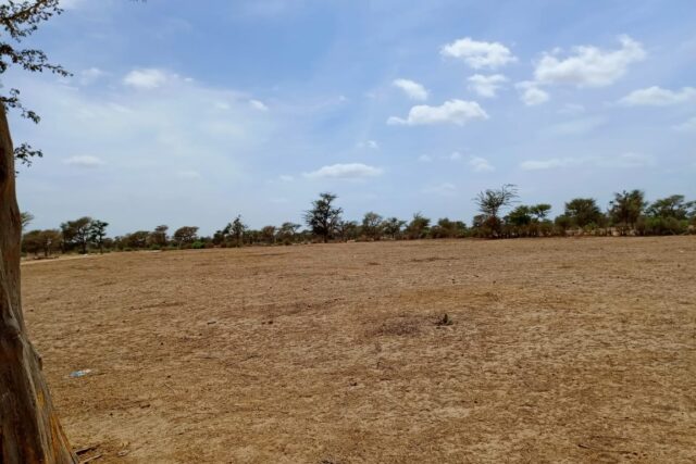 Terrain de 1,67 hectare vers Notto Diobass