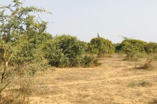Terrain de 1,68 hectare vers Diender