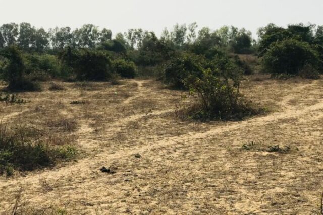 Terrain de 1,68 hectare vers Diender