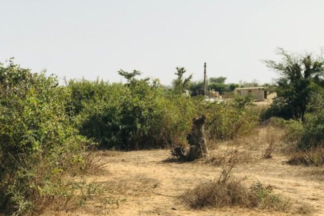 Terrain de 1,68 hectare vers Diender