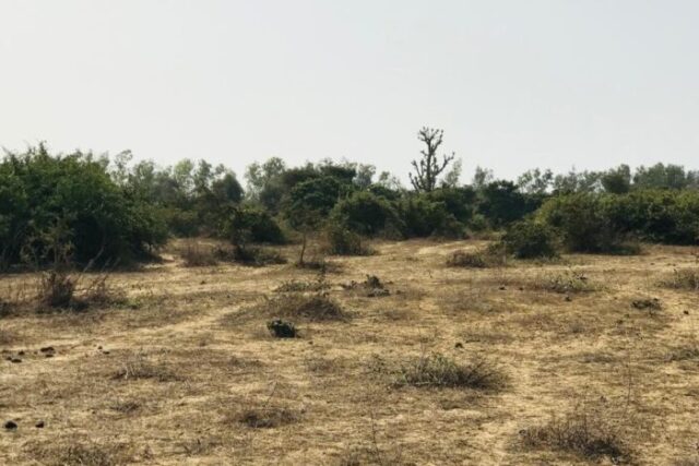 Terrain de 1,68 hectare vers Diender