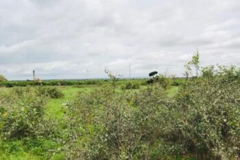 Terrain de 2,06 hectares vers Notto Gouye Diama