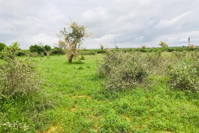 Terrain de 2,06 hectares vers Notto Gouye Diama