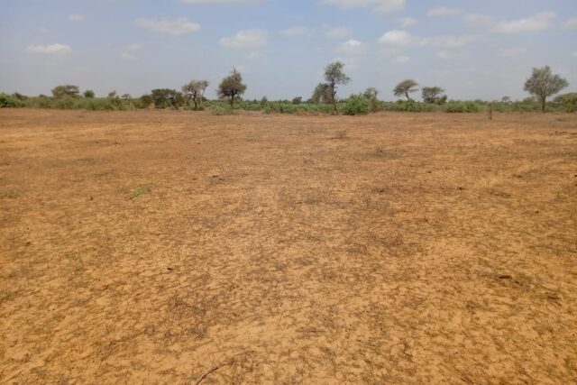Terrain de 12,08 hectares vers Touba Toul