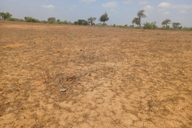 Terrain de 12,08 hectares vers Touba Toul