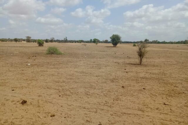 Terrain 1,87 ha à vendre – Touba Toul, Thiès