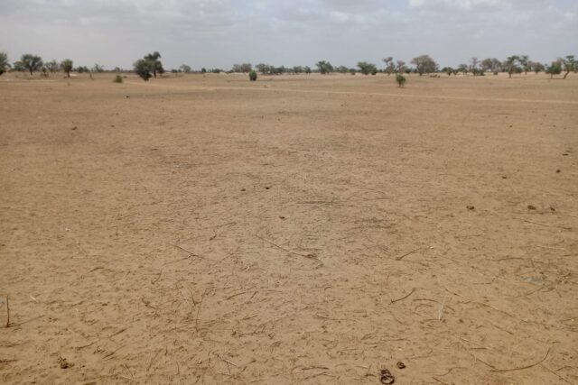 Terrain 1,87 ha à vendre – Touba Toul, Thiès