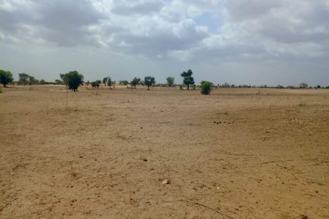 Terrain 1,87 ha à vendre – Touba Toul, Thiès