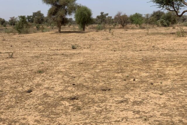Terrain 2,12 ha à vendre – Notto Diobass, Thiès