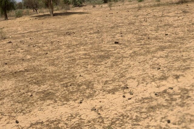Terrain 2,12 ha à vendre – Notto Diobass, Thiès