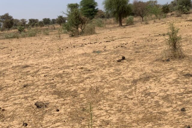 Terrain 2,12 ha à vendre – Notto Diobass, Thiès