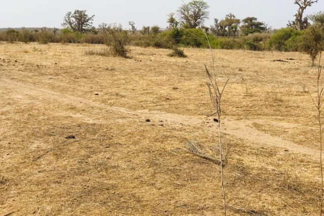 Terrain de 2,08 hectares vers Mont Rolland