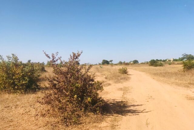 Terrain agricole 1,91 ha à vendre – Notto Diobass