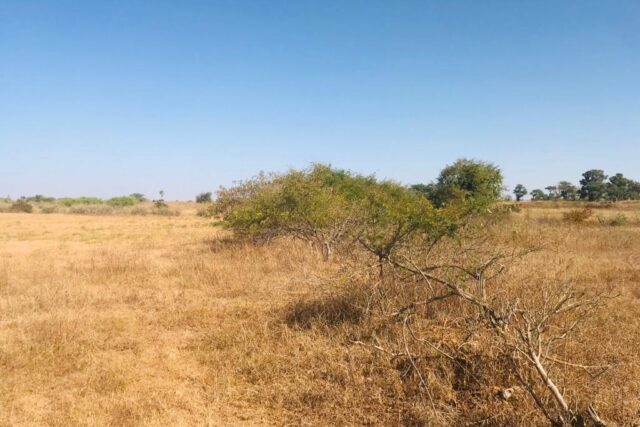 Terrain agricole 1,91 ha à vendre – Notto Diobass