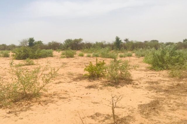 Terrain de 1,53 hectare vers Notto Diobass