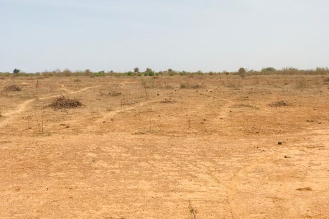 Terrain 2,06 ha à vendre – Notto Diobass, Thiès