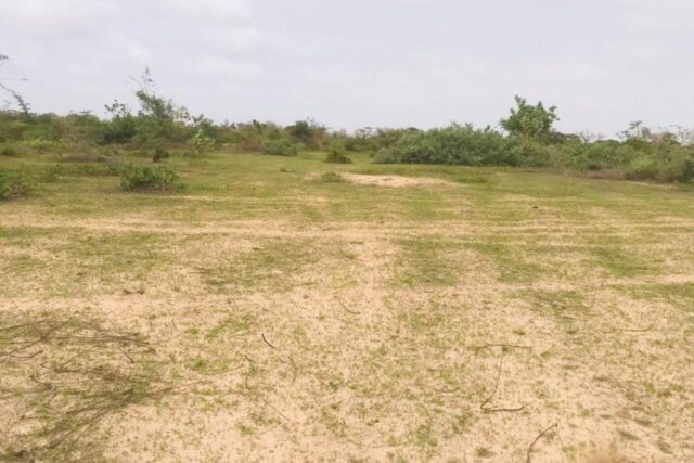 Terrain 2,4 ha à vendre – Diender, Kayar