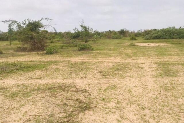 Terrain 2,4 ha à vendre – Diender, Kayar