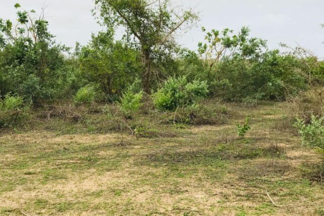 Terrain 2,4 ha à vendre – Diender, Kayar