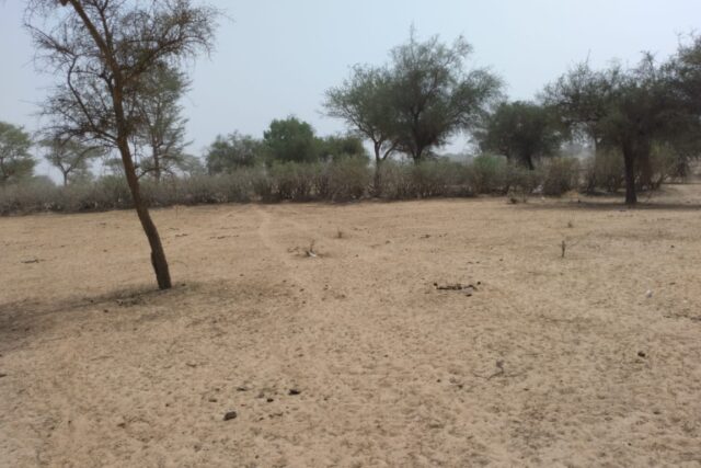 Terrain de 2,08 hectares vers Baba Garage