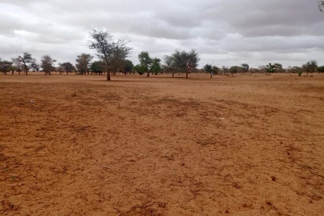 Terrain de 10 hectares vers Keur Samba Kane