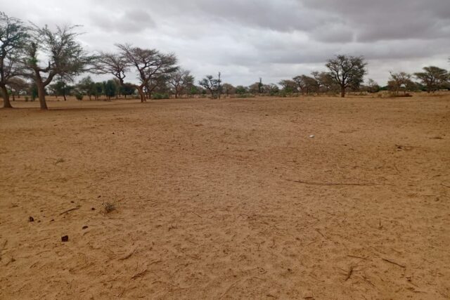Terrain de 10 hectares vers Keur Samba Kane