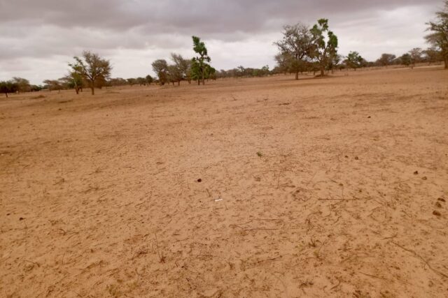 Terrain de 10 hectares vers Keur Samba Kane