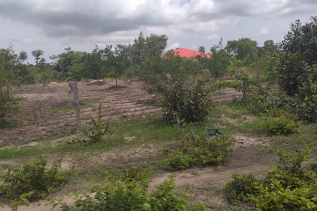 Terrain de 1,5 hectare vers Kataba 1