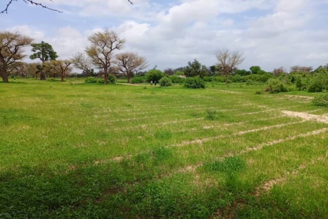Terrain de 2 hectares vers Notto Diobass