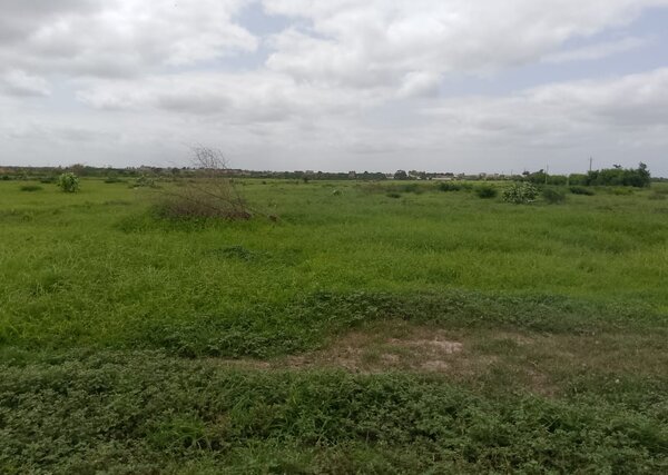 Terrain de 10 hectares vers Keur Moussa