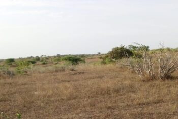 Terrain de 2 hectares vers Darou Khoudoss