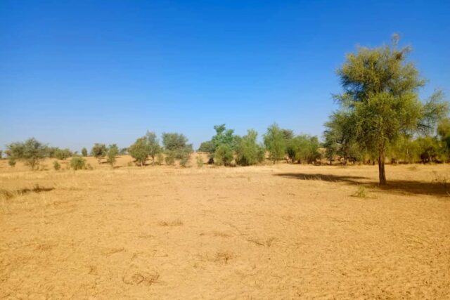 Terrain de 1,71 hectare vers Mbadiane