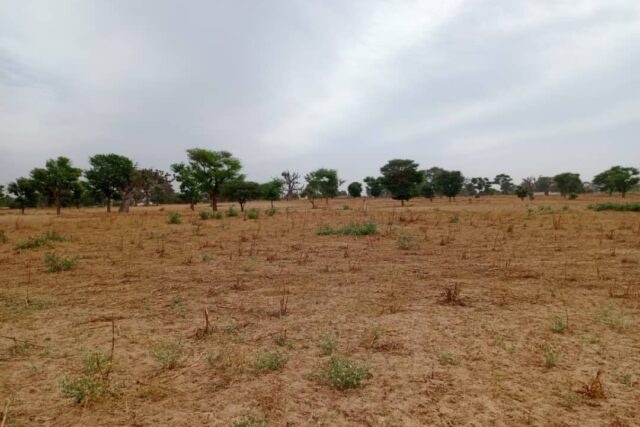 Terrain de 1,54 hectare vers Tassette