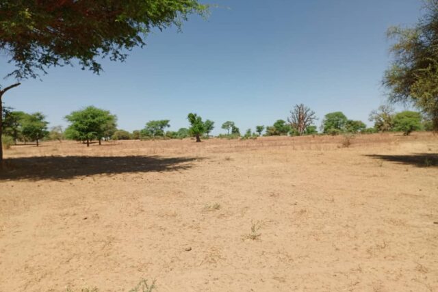 Terrain agricole 1,91 ha à vendre – Tassette