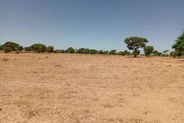 Terrain agricole 1,91 ha à vendre – Tassette