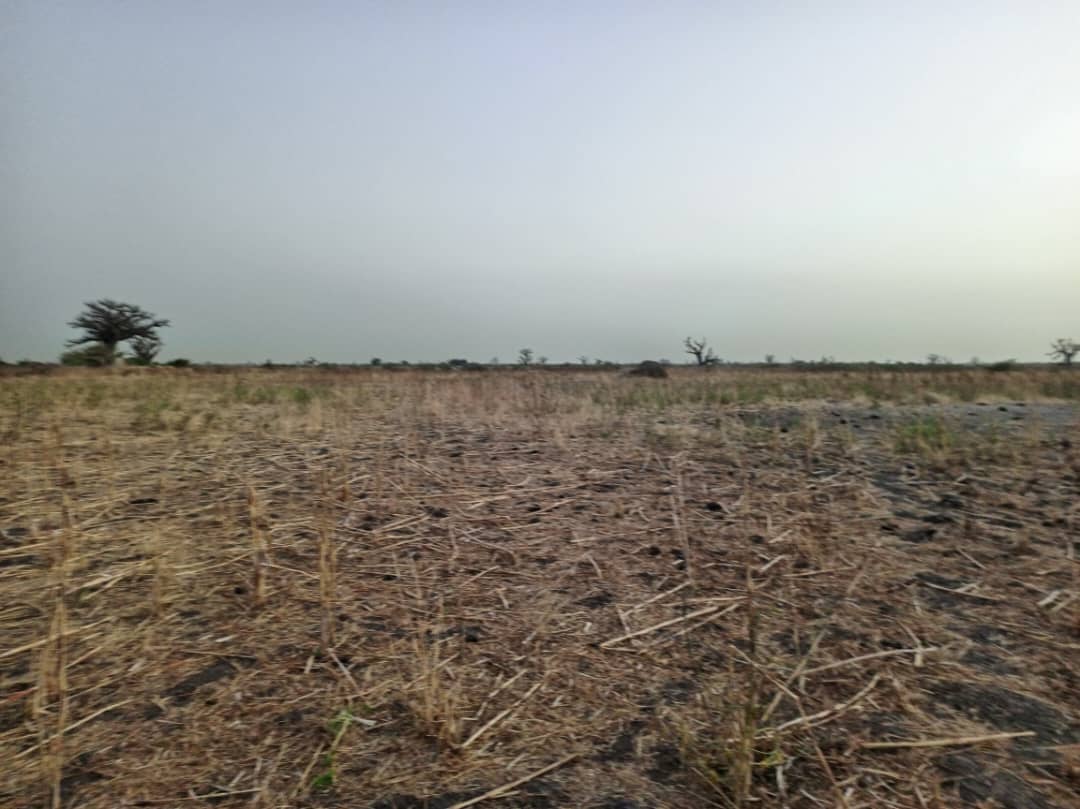 Terrain de 2 hectares vers Nguéniène