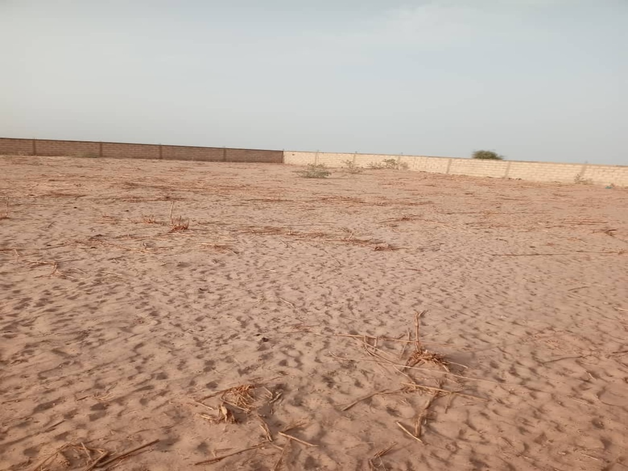 Terrain de 12 hectares vers Touba
