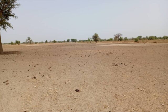 Terrain 1,83 ha à vendre – Tassette, Thiès