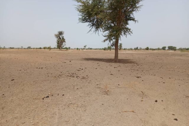 Terrain 1,83 ha à vendre – Tassette, Thiès