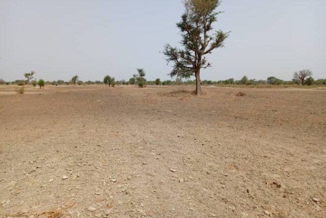Terrain 1,83 ha à vendre – Tassette, Thiès