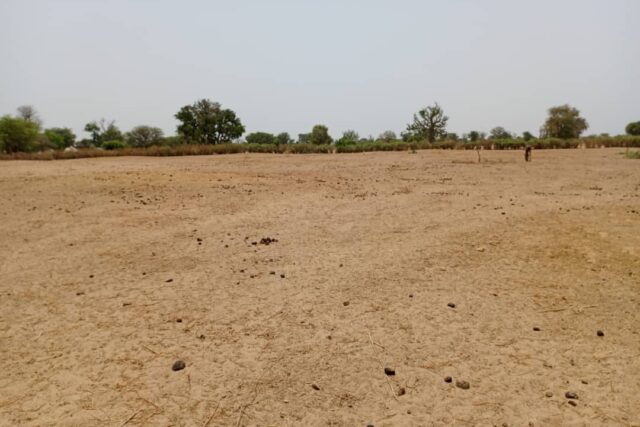 Terrain de 1,52 hectare vers Tassette