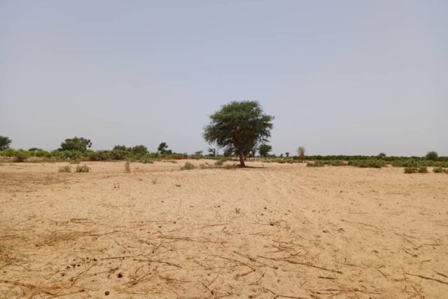 Terrain de 2,04 hectares vers Tassette